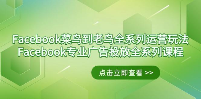 Facebook-菜鸟到老鸟全系列运营玩法+Facebook-专业广告投放全系列课程-优创项目网