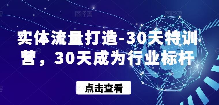 实体流量打造-30天特训营，30天成为行业标杆-优创项目网