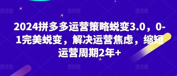 2024拼多多运营策略蜕变3.0，0-1完美蜕变，解决运营焦虑，缩短运营周期2年+-优创项目网