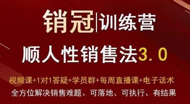 爆款！销冠训练营3.0之顺人性销售法，全方位解决销售难题、可落地、可执行、有结果-优创项目网
