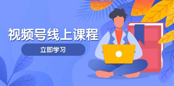 视频号实战课程，轻IP打造与运营技巧，掌握核心方法与策略-优创项目网
