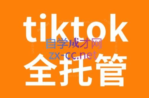 TikTok跨境电商全托管运营模式精品课-优创项目网