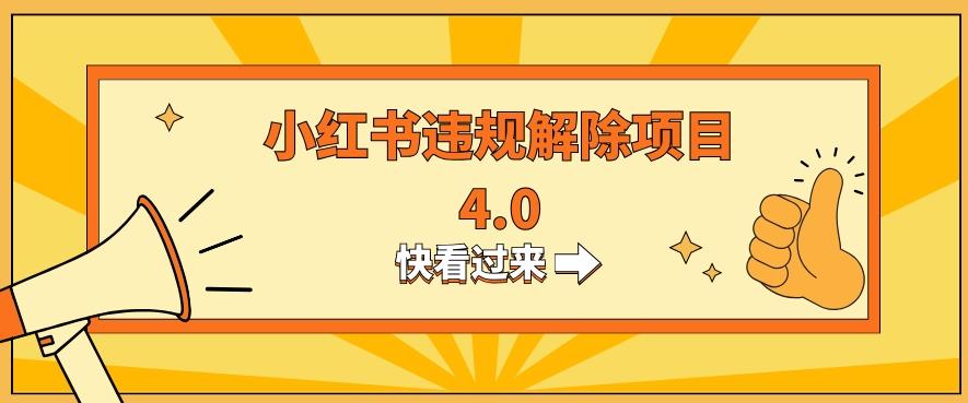 小红书违规掘金蓝海项目，日入800+（附带引流办法及解除办法）-优创项目网