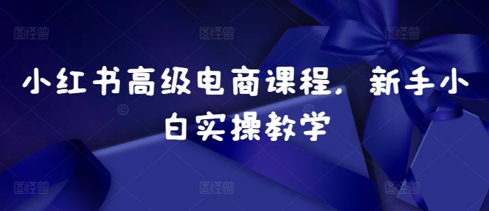 小红书高级电商课程，新手小白实操教学-优创项目网