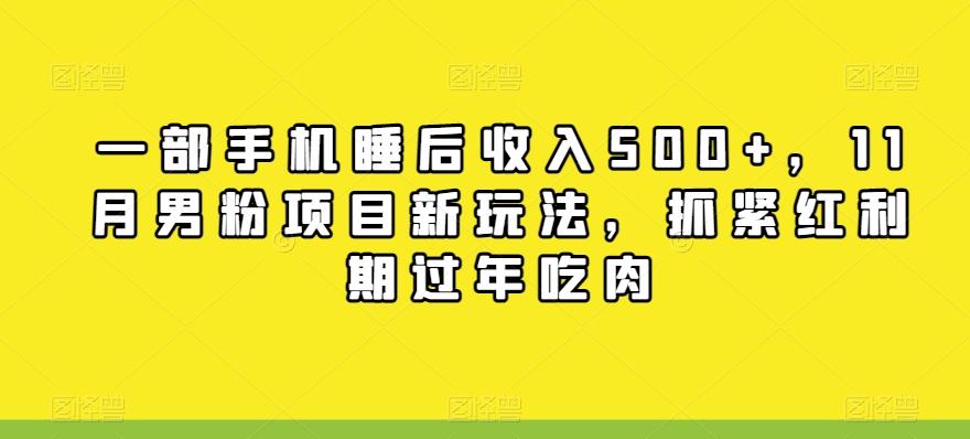 一部手机睡后收入500+，11月男粉项目新玩法，抓紧红利期过年吃肉-优创项目网