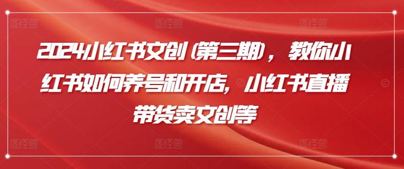 2024小红书文创(第三期)，教你小红书如何养号和开店，小红书直播带货卖文创等-优创项目网