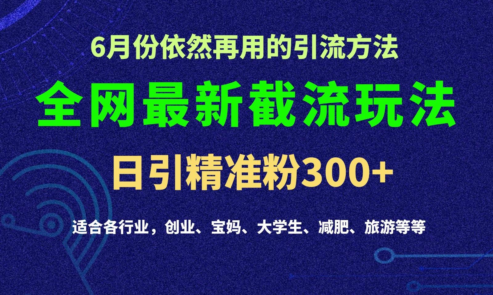 2024全网最新截留玩法，每日引流突破300+-优创项目网