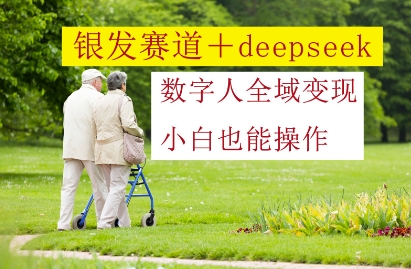 银发赛道+deepseek数字人全域变现，小白也能操作-优创项目网