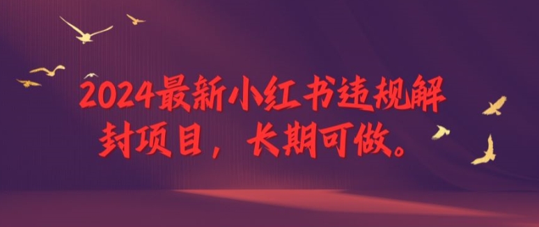 2024最新小红书违规解封项目，长期可做，一个可以做到退休的项目【揭秘】-优创项目网
