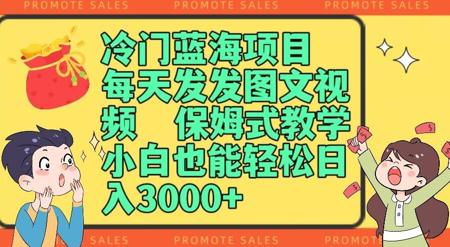 冷门蓝海项目，每天发发图文视频，保姆式教学，小白也能轻松日入3000+-优创项目网