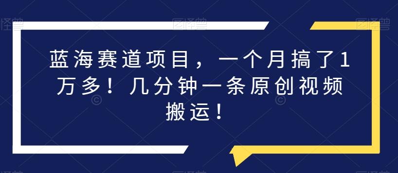 蓝海赛道项目，一个月搞了1万多！几分钟一条原创视频搬运！-优创项目网