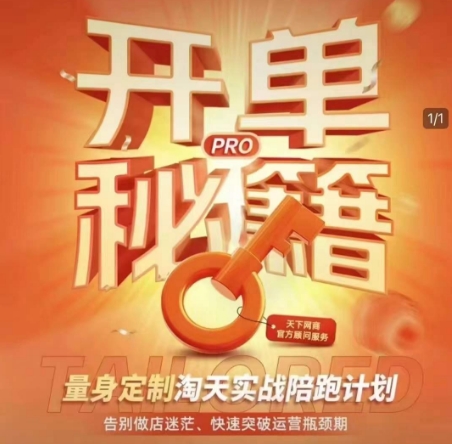 淘宝开单秘籍PRO，量身定制淘天实战陪跑计划，告别做店迷茫、快速突破运营瓶颈期-优创项目网