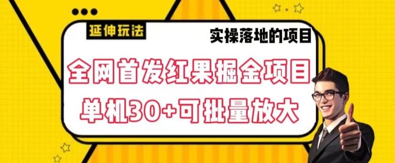 全网首发红果免费短剧掘金项目，单机30+可批量放大【揭秘】-优创项目网