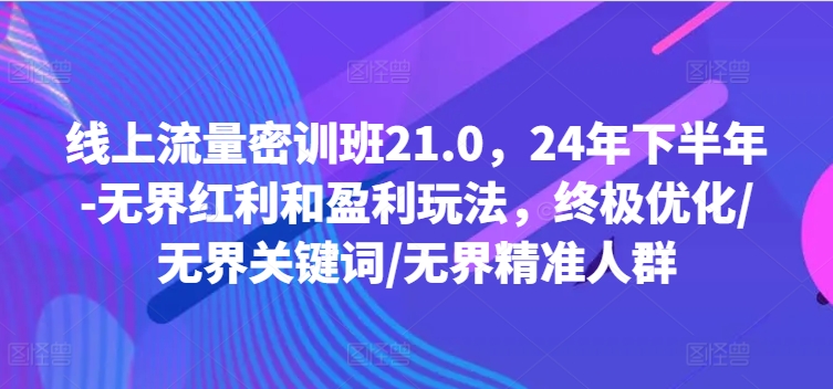 线上流量密训班21.0，24年下半年-无界红利和盈利玩法，终极优化/无界关键词/无界精准人群-优创项目网