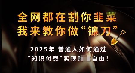 知识付费如何做到月入过W+，2025我来教你做“镰刀”【揭秘】-优创项目网