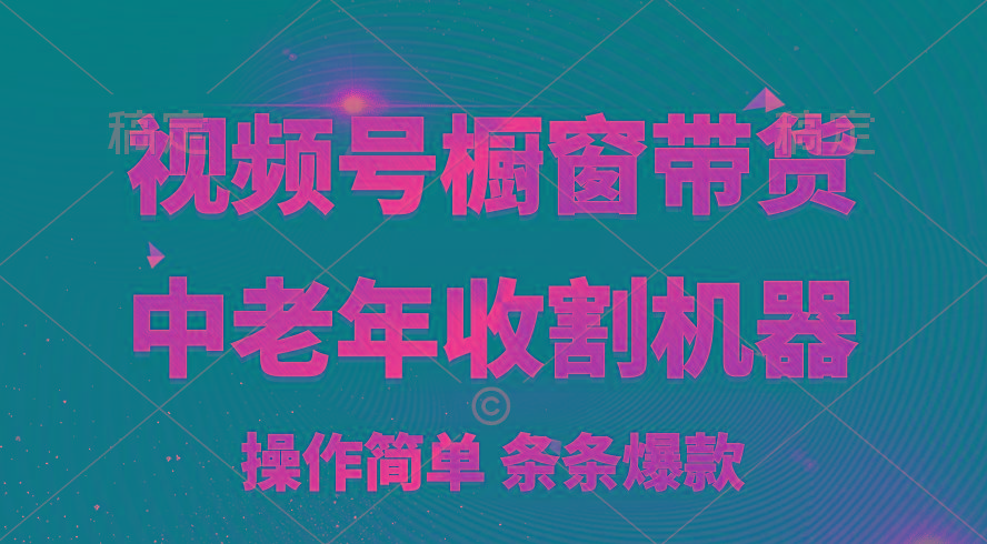[你的孩子成功取得高位]视频号最火爆赛道，橱窗带货，流量分成计划，条...-优创项目网
