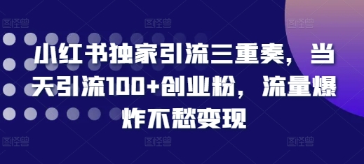小红书独家引流三重奏，当天引流100+创业粉，流量爆炸不愁变现【揭秘】-优创项目网