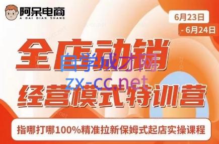 阿呆电商·全店动销经营模式特训营(线下录音+思维导图)-优创项目网