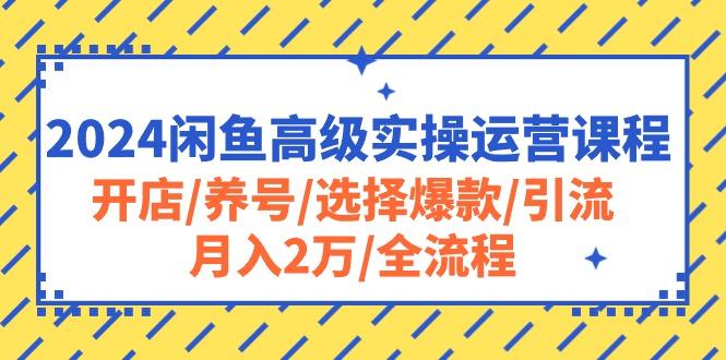 2024闲鱼高级实操运营课程：开店/养号/选择爆款/引流/月入2万/全流程-优创项目网