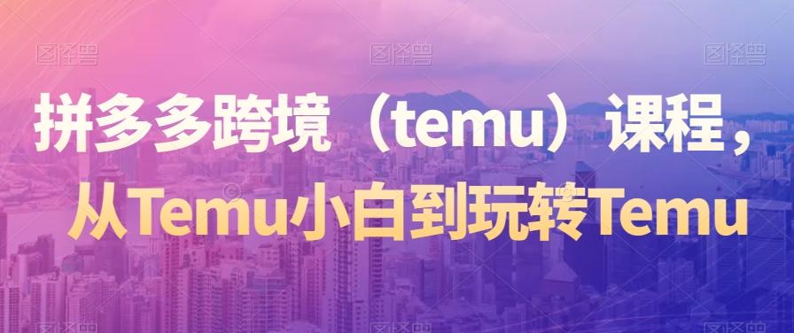 拼多多跨境（temu）课程，从Temu小白到玩转Temu-优创项目网