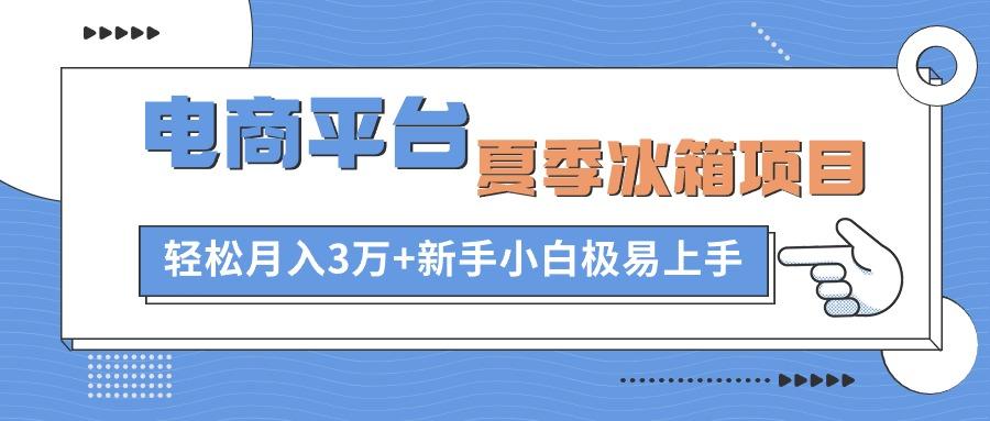 电商平台夏季冰箱项目，轻松月入3万+，新手小白极易上手-优创项目网