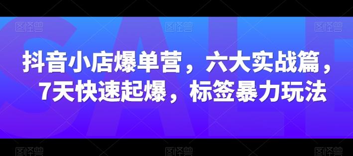 抖音小店爆单营，六大实战篇，7天快速起爆，标签暴力玩法-优创项目网
