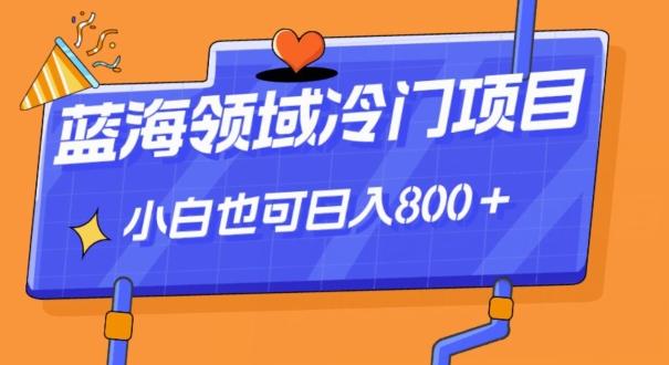 蓝海领域冷门赛道，一单39.9，日入800＋-优创项目网