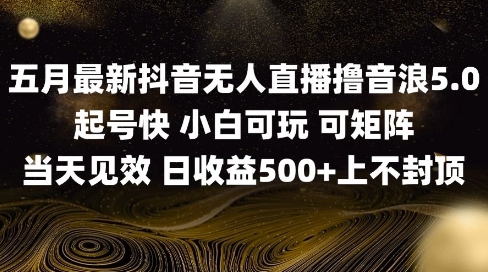 2025五月最新无人直播撸音浪单日产出5张+实操教程【揭秘】-优创项目网