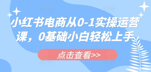 小红书电商从0-1实操运营课，0基础小白轻松上手-优创项目网