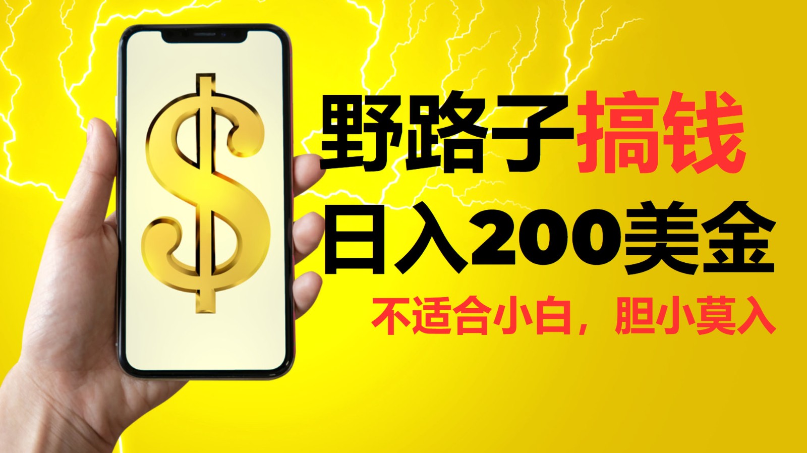 挂机野路子搞钱，日入200美金，路子很野，小白莫入-优创项目网