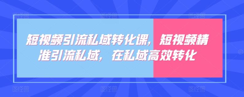 短视频引流私域转化课，短视频精准引流私域，在私域高效转化-优创项目网