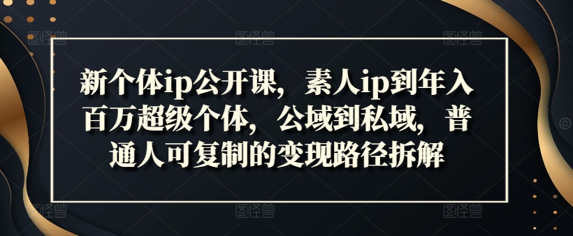 新个体ip公开课，素人ip到年入百万超级个体，公域到私域，普通人可复制的变现路径拆解-优创项目网
