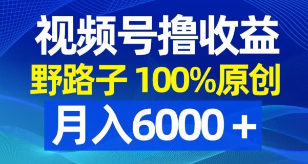 视频号野路子撸收益，100%原创，条条爆款，月入6000＋【揭秘】-优创项目网