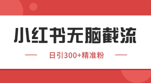 小红书截流同行客源，独家野路子获客玩法 日引200+暴力获客【揭秘】-优创项目网