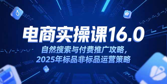 淘宝电商运营课16.0，自然搜索与付费推广攻略，2025年标品非标品运营策略-优创项目网