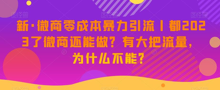 新·微商零成本暴力引流丨都2023了微商还能做？有大把流量，为什么不能？-优创项目网