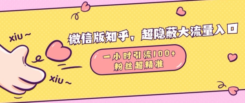 微信版知乎，超隐蔽流量入口1小时引流100人，粉丝质量超高【揭秘】-优创项目网