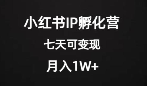 价值2000+的小红书IP孵化营项目，超级大蓝海，七天即可开始变现，稳定月入1W+-优创项目网