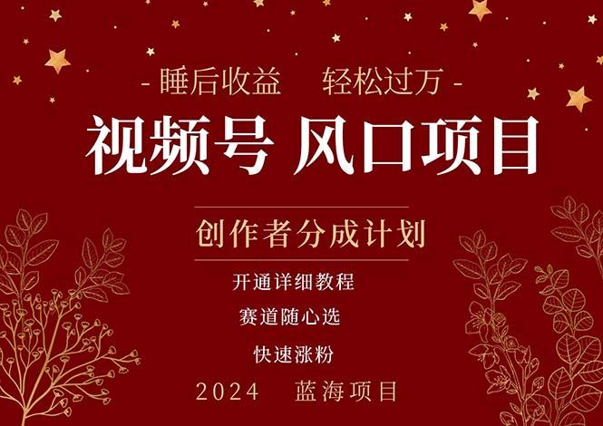 拥有睡眠收益的微信视频号大风口项目，轻松月入过万+，多赛道选择，可...-优创项目网