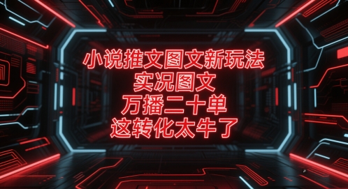 小说推文图文新玩法，实况图文，万播二十单，这转化太牛了！-优创项目网