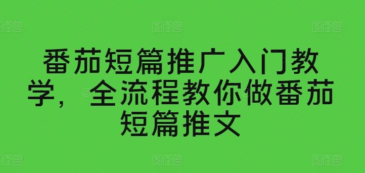 番茄短篇推广入门教学，全流程教你做番茄短篇推文-优创项目网