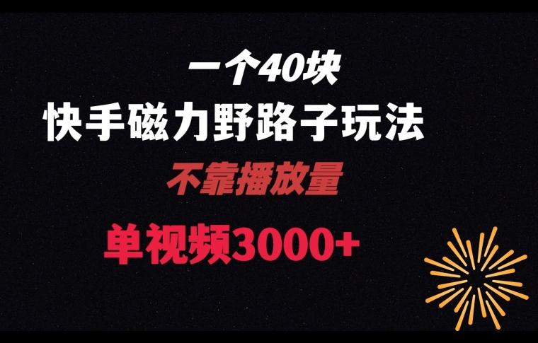 一个40块，快手联合美团磁力新玩法，无视机制野路子玩法，单视频收益4位数【揭秘】-优创项目网