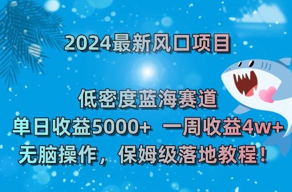 2024最新风口项目，低密度蓝海赛道，单日收益5000+，一周收益4w+！【揭秘】-优创项目网
