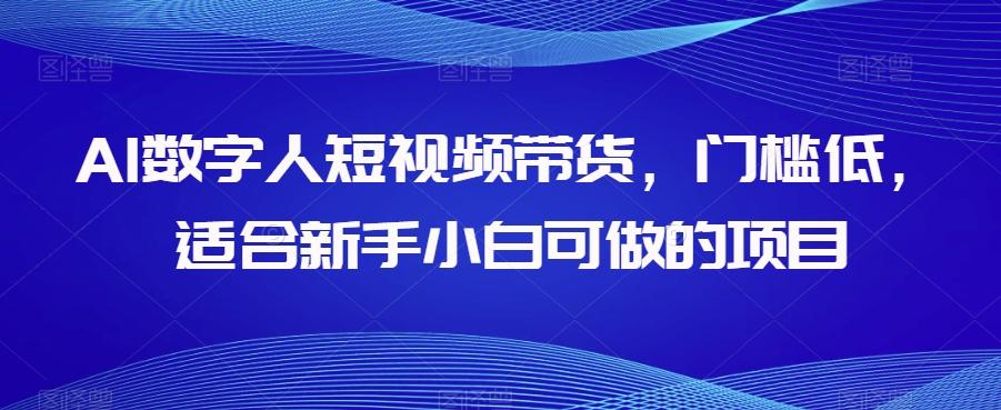 AI数字人短视频带货，门槛低，适合新手小白可做的项目-优创项目网