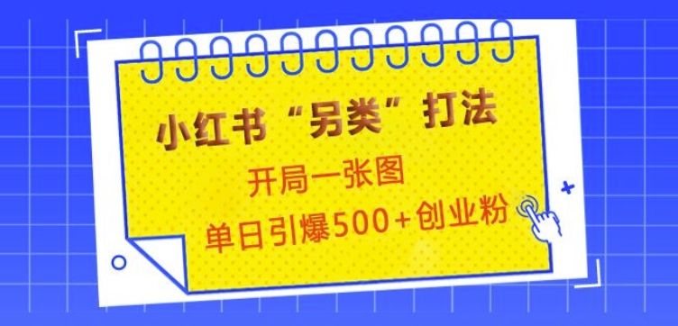 小红书“另类”打法，开局一张图，单日引爆500+精准创业粉【揭秘】-优创项目网