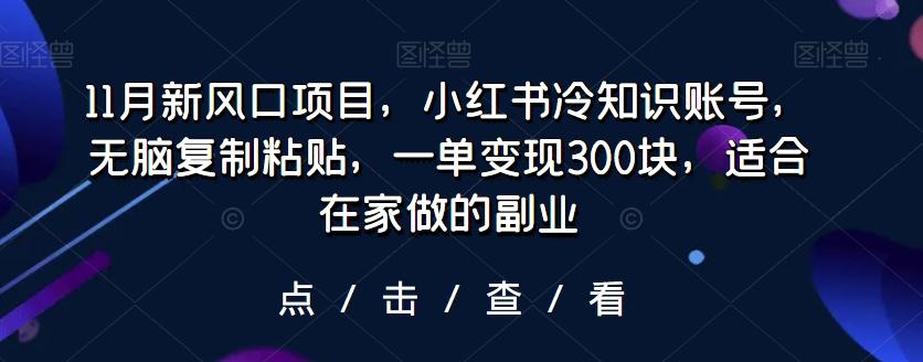 11月新风口项目，小红书冷知识账号，无脑复制粘贴，一单变现300块，适合在家做的副业-优创项目网
