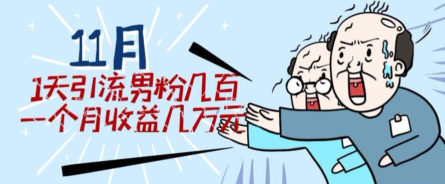 11月最新每天引流男粉300+一个月收益几万元-优创项目网