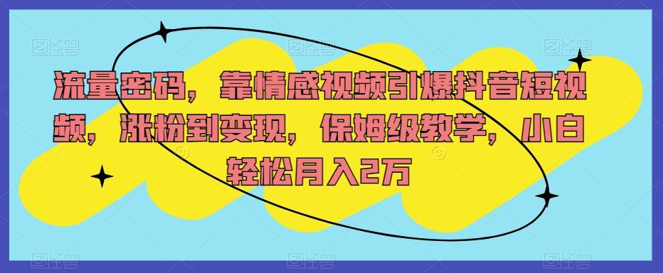 流量密码，靠情感视频引爆抖音短视频，涨粉到变现，保姆级教学，小白轻松月入2万【揭秘】-优创项目网