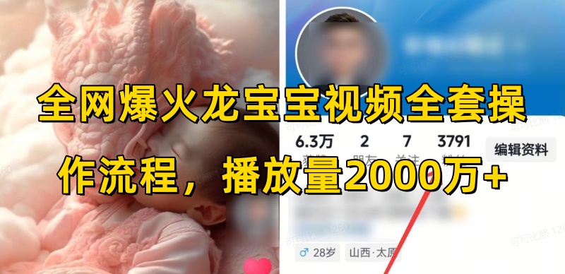 全网爆火龙宝宝视频全套操作流程，播放量2000万+-优创项目网