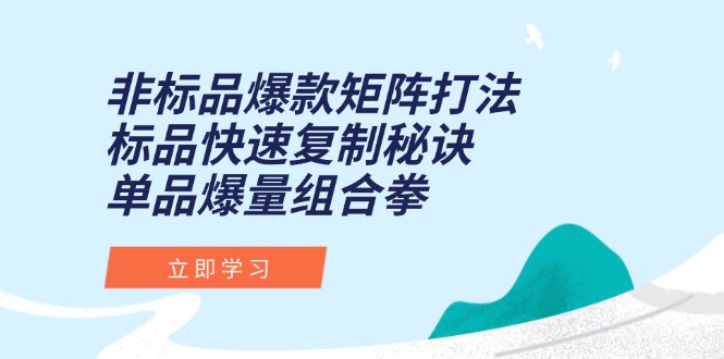 非标品爆款矩阵打法，标品快速复制秘诀，单品爆量组合拳-优创项目网